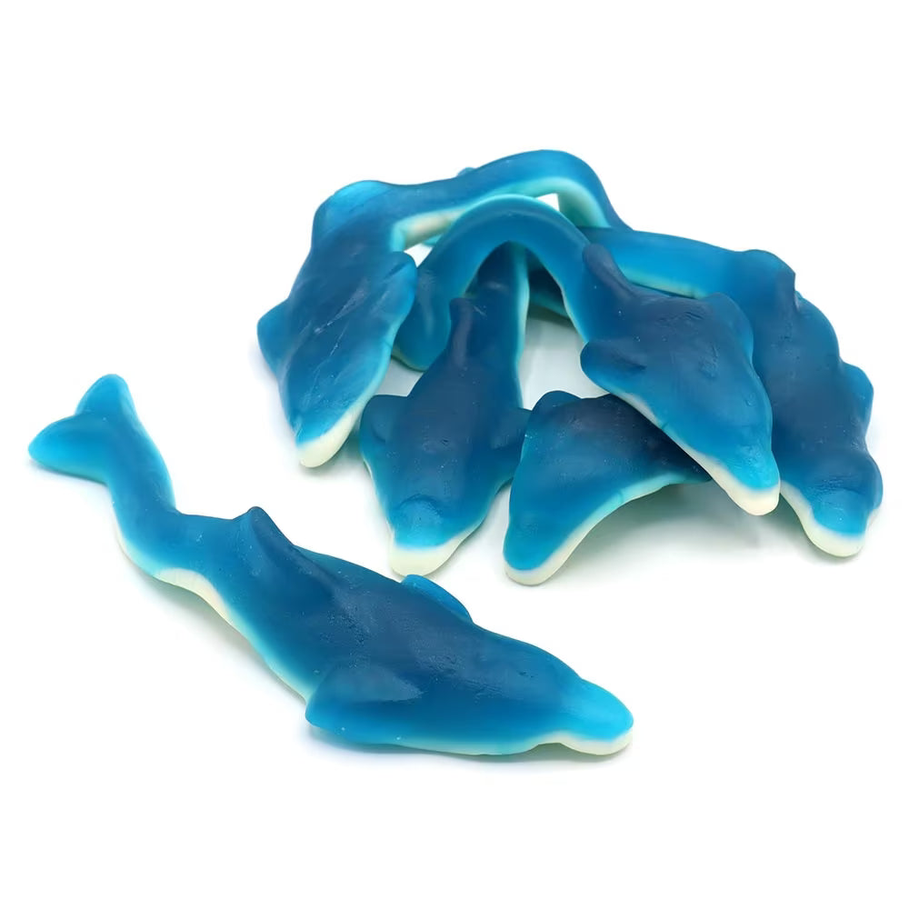 Kingsway Giant Dolphins