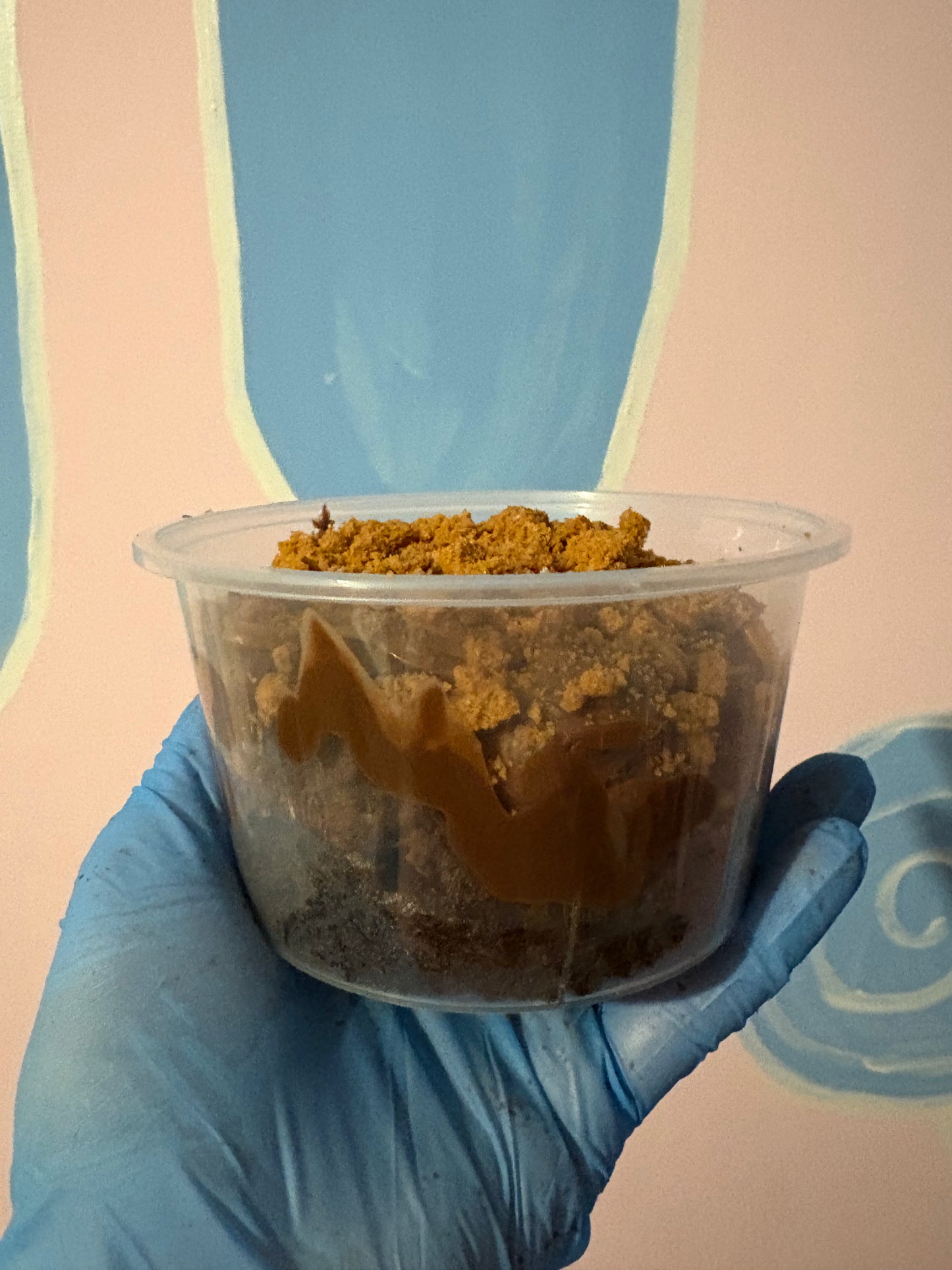 Chocolate biscoff brownie pot