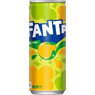 Fanta Plum 250ml