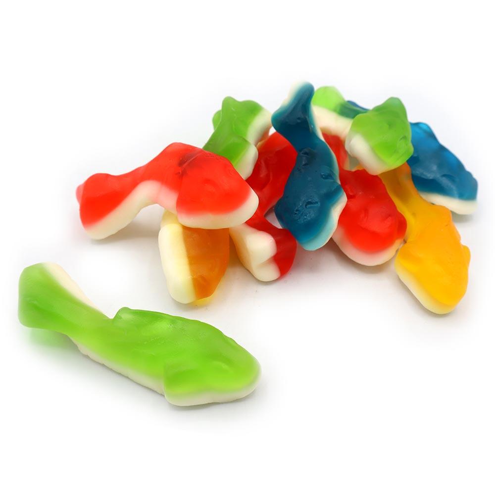 Kingsway Gummy Sharks